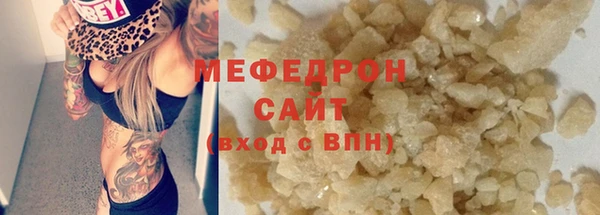 индика Ельня